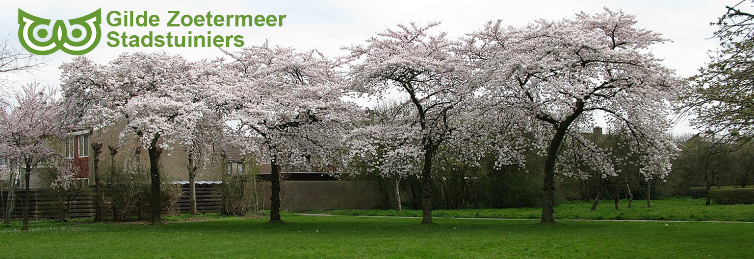 Gilde Zoetermeer